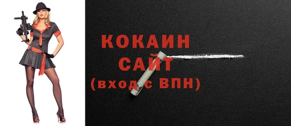 прущий лед Каменка