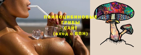 прущий лед Каменка