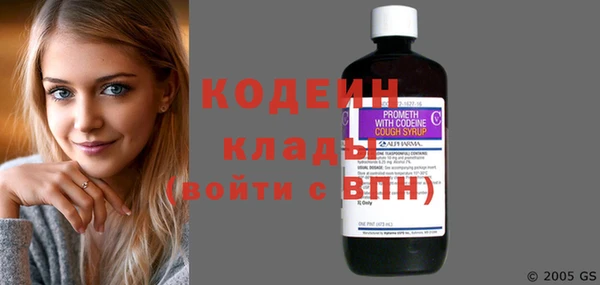 прущий лед Каменка