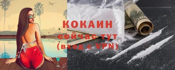 прущий лед Каменка