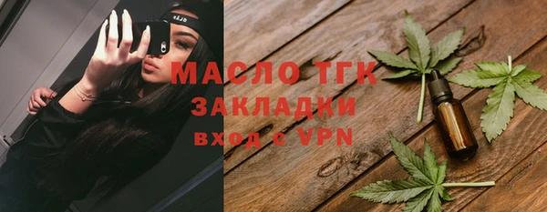 прущий лед Каменка