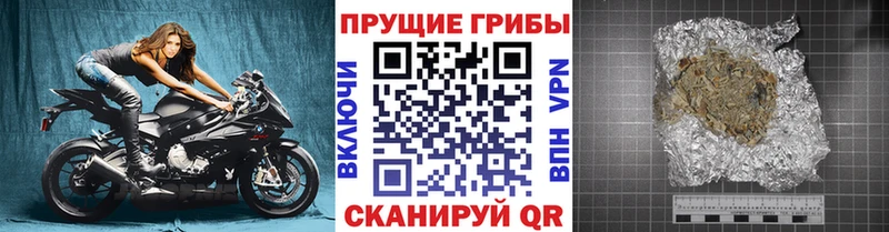 Купить закладки Кувандык Галлюциногенные грибы Cubensis