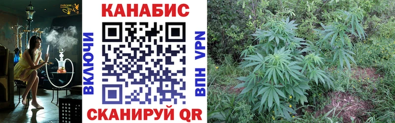 Купить где  Кувандык  Бошки Шишки VHQ 